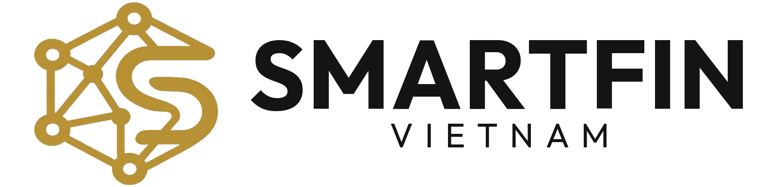 SmartFin
